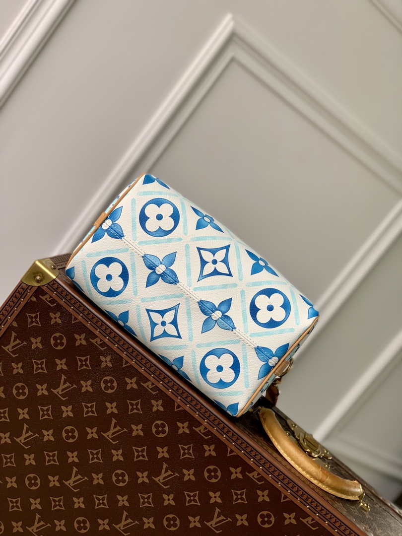 Louis Vuitton Speedy Bandoulière 25 M11264