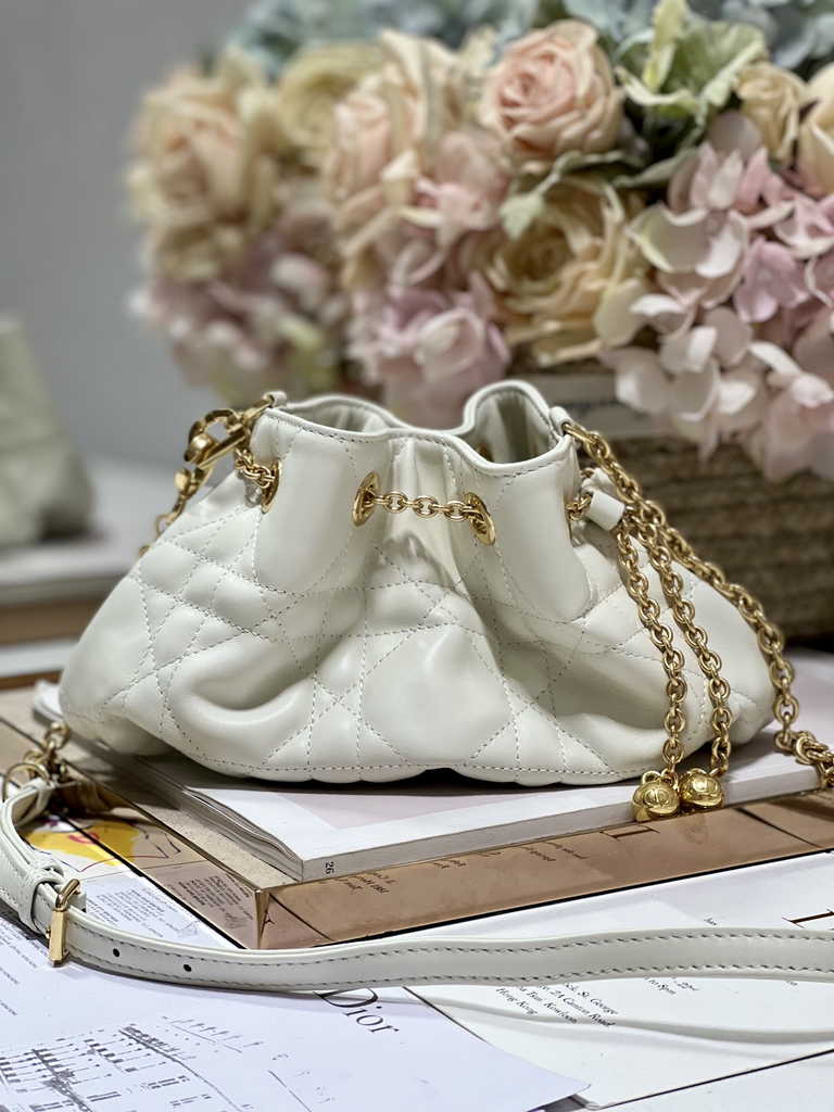 Small Dior Ammi Bag M22556 Beige Supple Macrocannage Lambskin