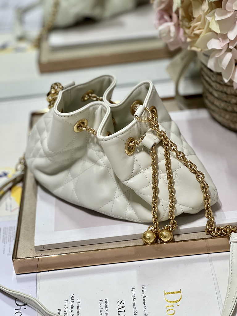 Small Dior Ammi Bag M22556 Beige Supple Macrocannage Lambskin