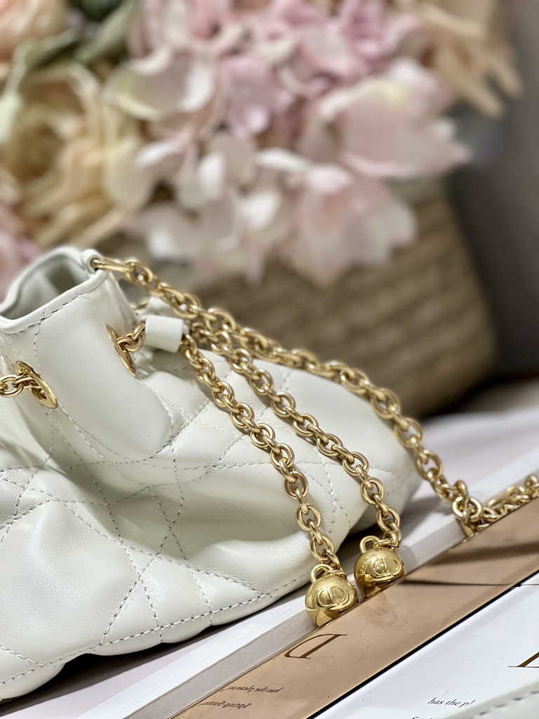 Small Dior Ammi Bag M22556 Beige Supple Macrocannage Lambskin