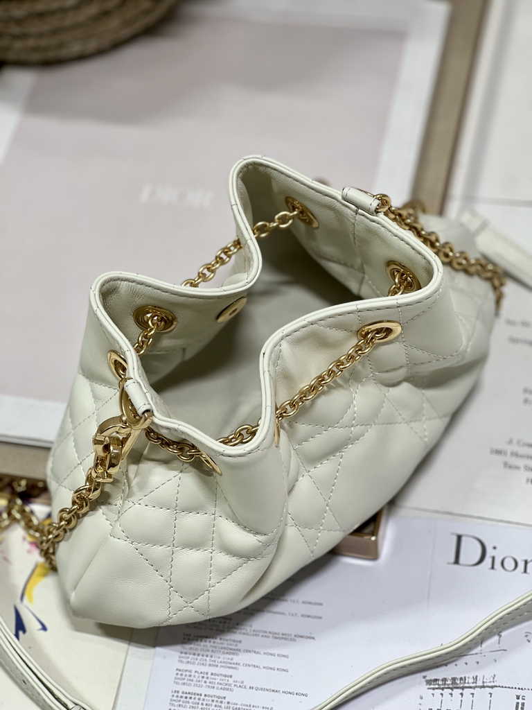 Small Dior Ammi Bag M22556 Beige Supple Macrocannage Lambskin