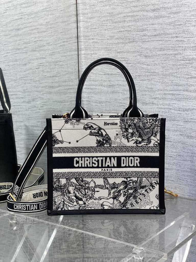 Small Dior Book Tote M1265 Latte Multicolor Dior Zodiac Embroidery and Black Calfskin