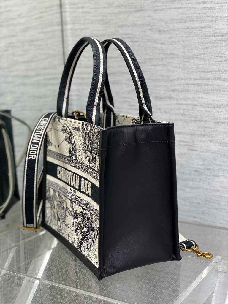 Small Dior Book Tote M1265 Latte Multicolor Dior Zodiac Embroidery and Black Calfskin