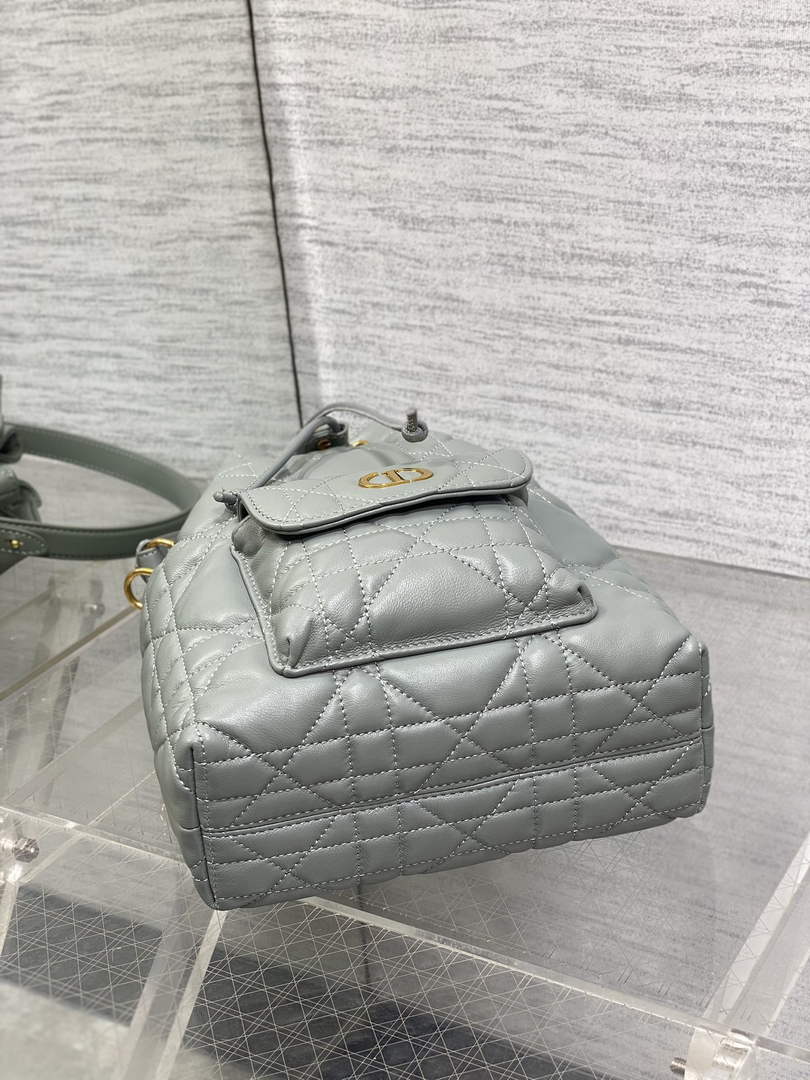 Small Dior Caro Bucket Bag Gray Lambskin M3372 - Default Title - View 4