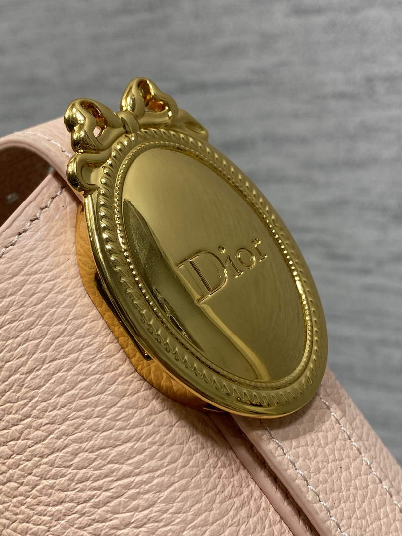 Small Dior Médaillon Bucket Bag - Light Pink Grained Calfskin M1531 - Default Title - View 5