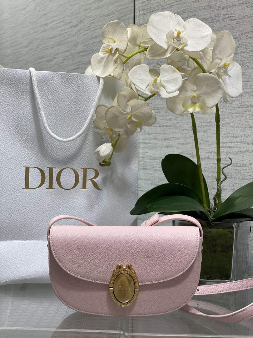 Small Dior Médaillon Flap Bag – Pink Grained Calfskin M3919