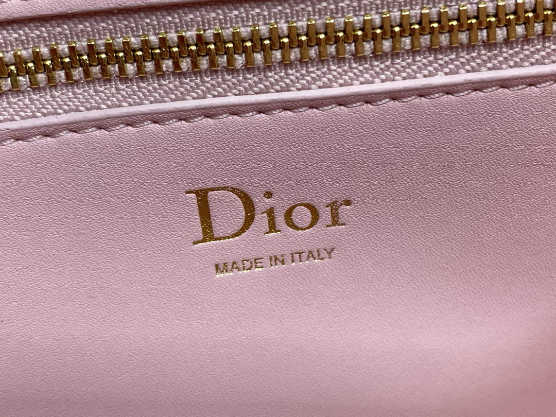 Small Dior Médaillon Flap Bag – Pink Grained Calfskin M3919