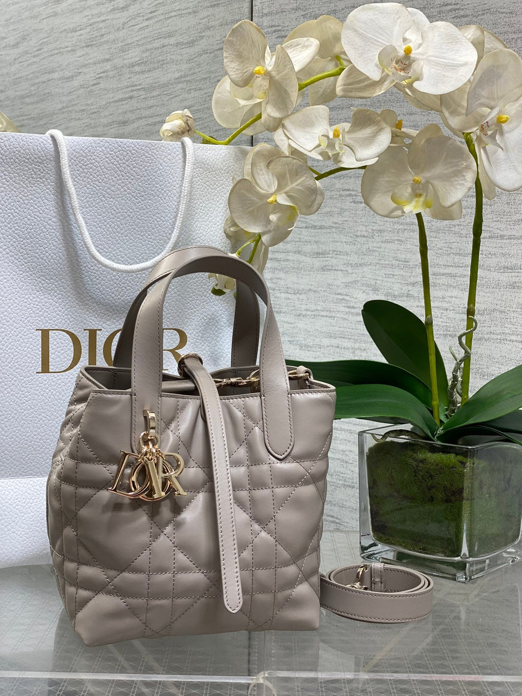 Dior Toujours Small Gray Vertical Tote – M2835 - Default Title - View 1
