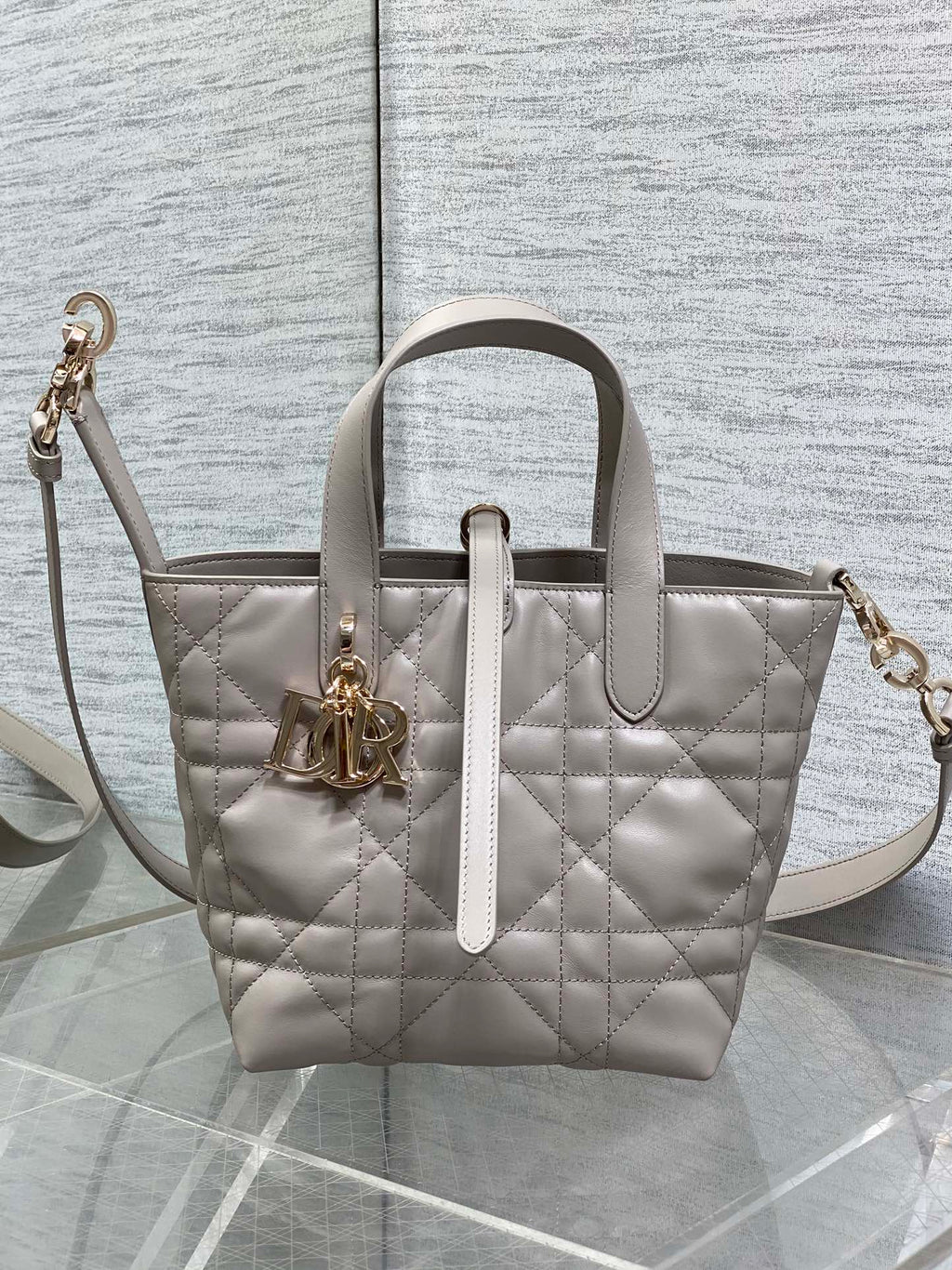 Dior Toujours Small Gray Vertical Tote – M2835 - Default Title - View 2