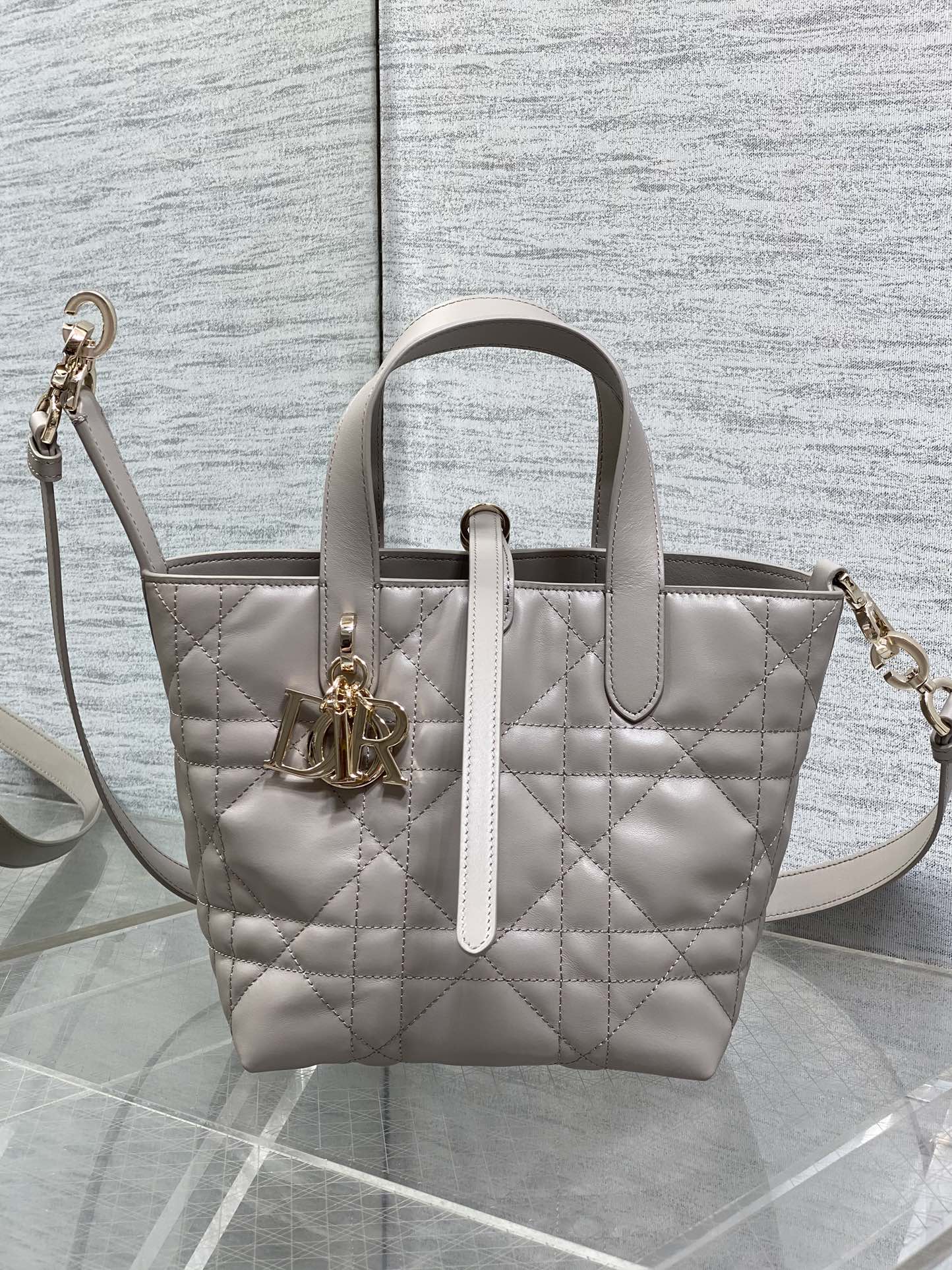 Dior Toujours Small Gray Vertical Tote – M2835 - Default Title - View 2