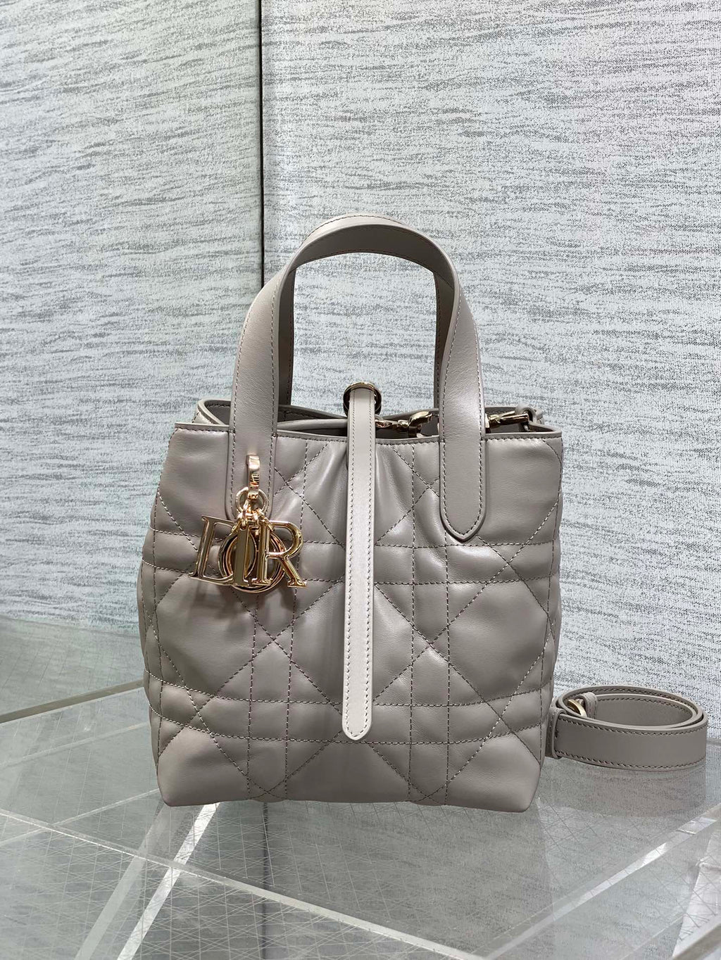 Dior Toujours Small Gray Vertical Tote – M2835 - Default Title - View 3