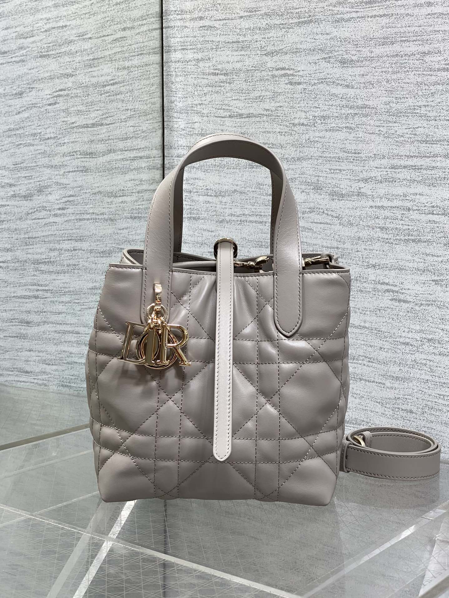 Dior Toujours Small Gray Vertical Tote – M2835 - Default Title - View 3
