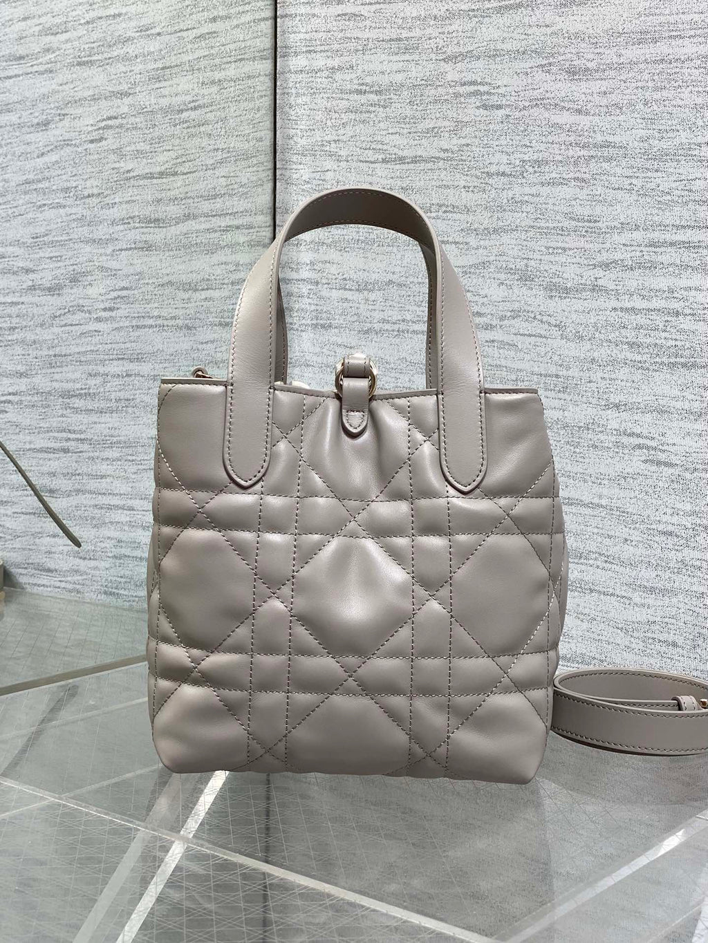 Dior Toujours Small Gray Vertical Tote – M2835 - Default Title - View 5