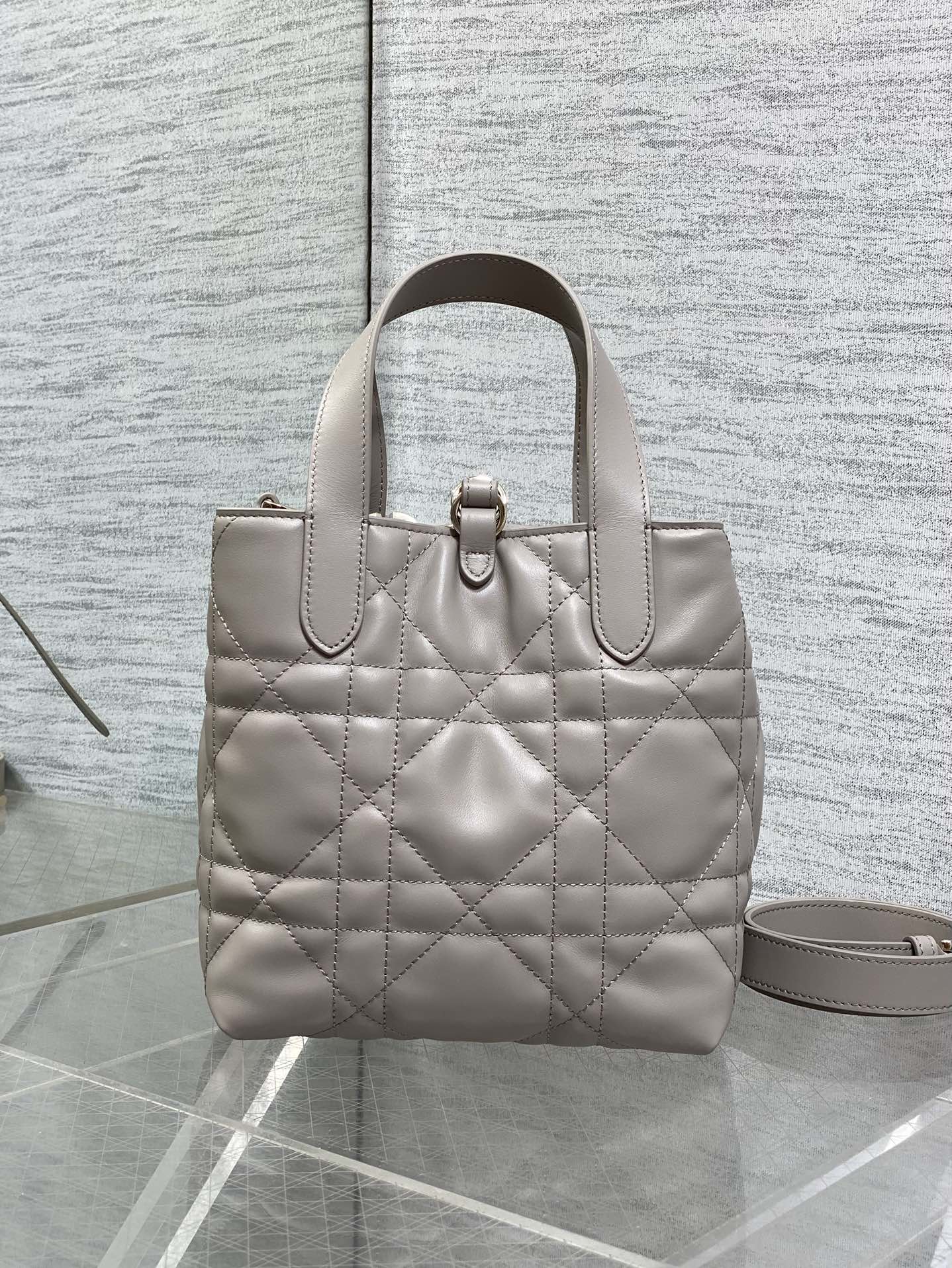 Dior Toujours Small Gray Vertical Tote – M2835 - Default Title - View 5