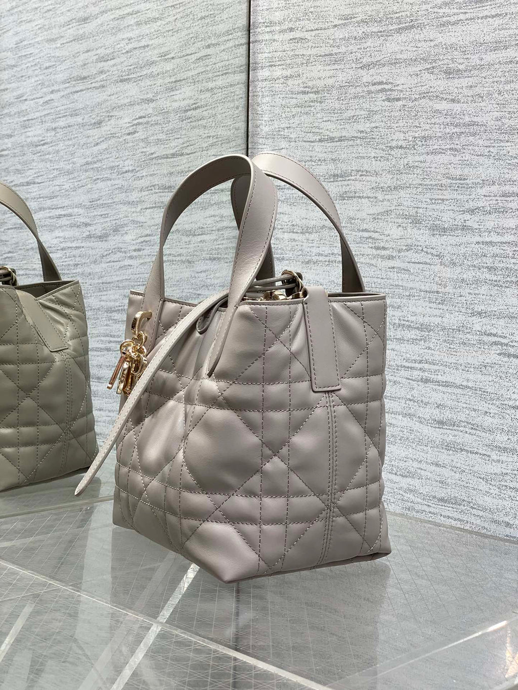 Dior Toujours Small Gray Vertical Tote – M2835 - Default Title - View 7