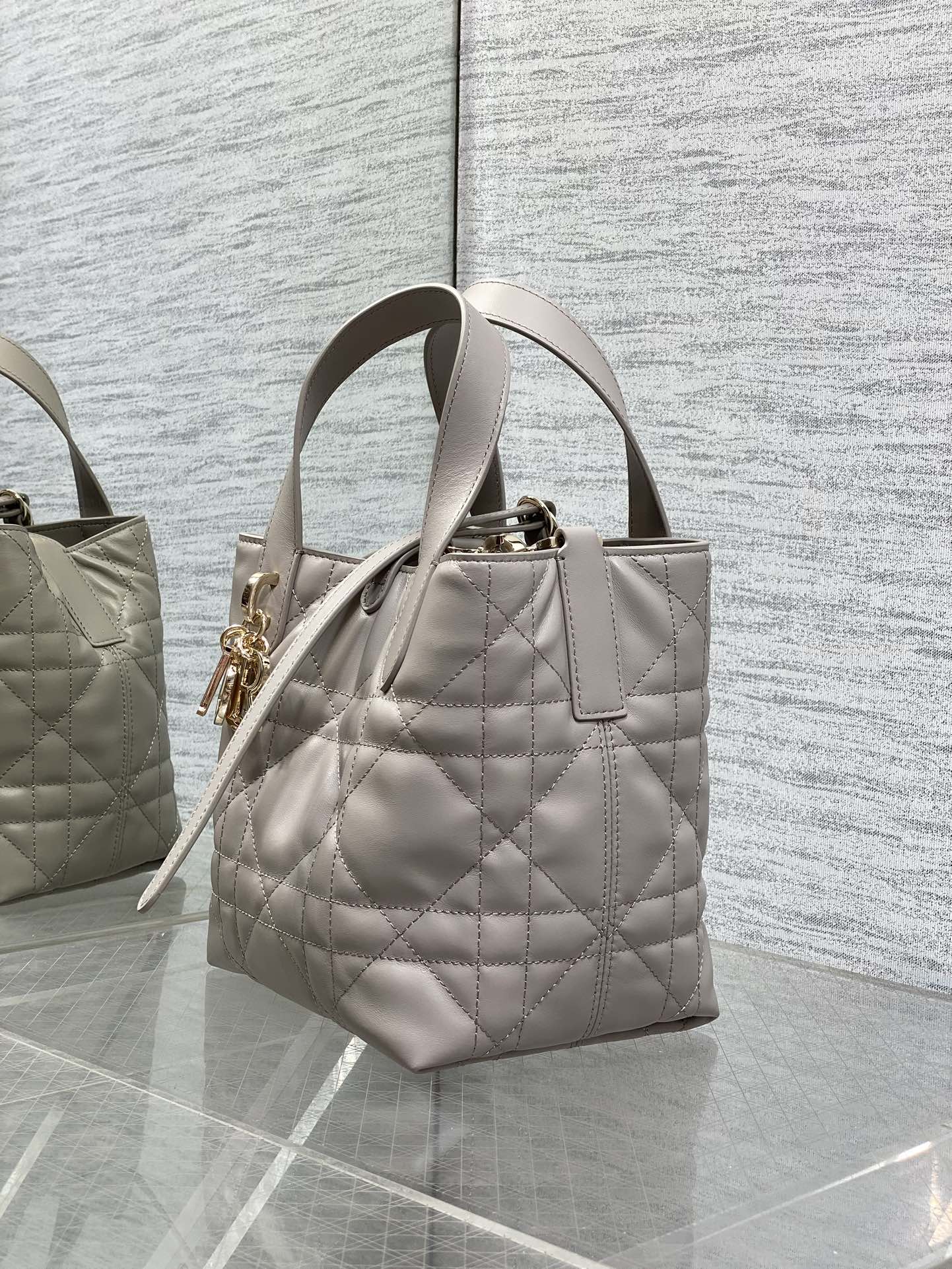 Dior Toujours Small Gray Vertical Tote – M2835 - Default Title - View 7