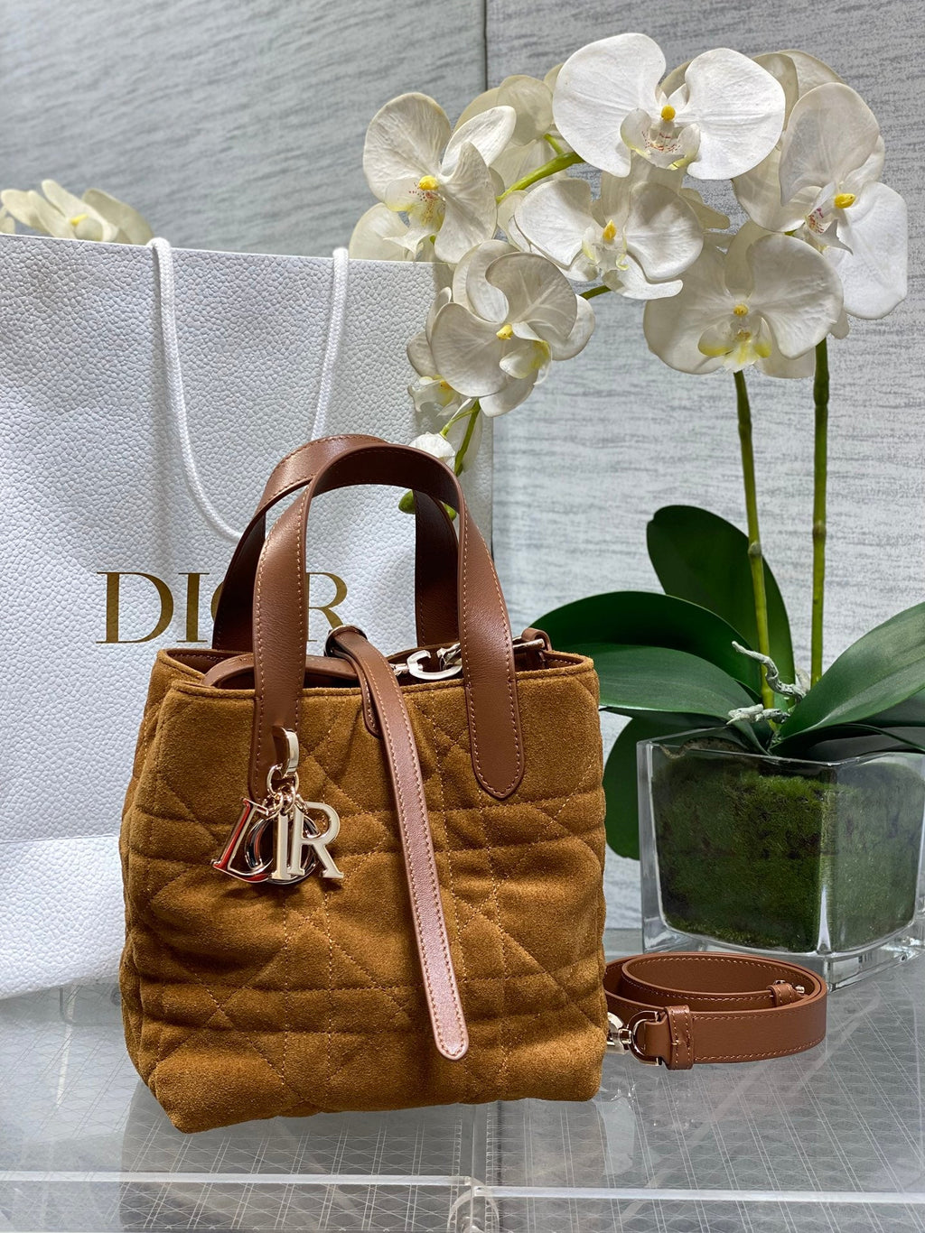 Small Dior Toujours Vertical Tote Bag – Brown Suede – M2835 - Default Title - View 1