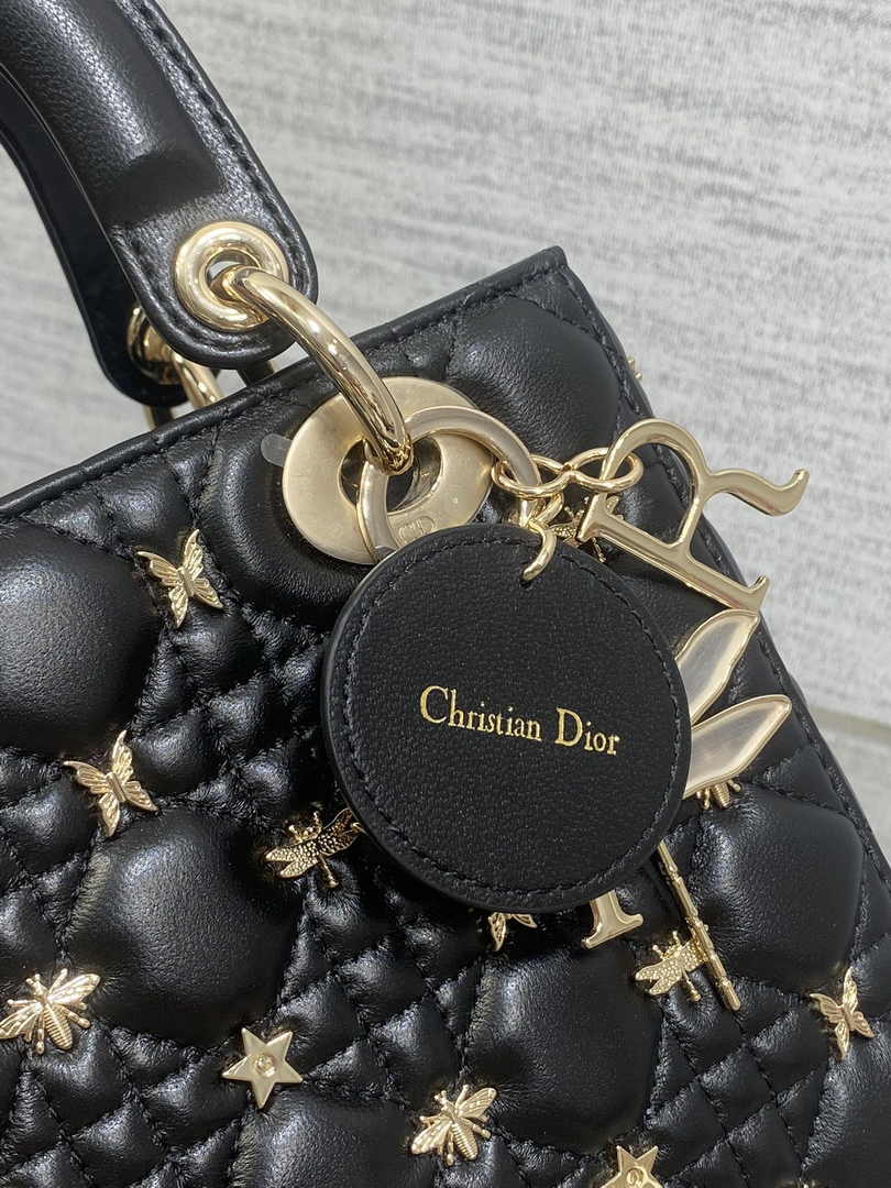 Small Lady Dior Bag Black Calfskin M0531 - Default Title - View 5
