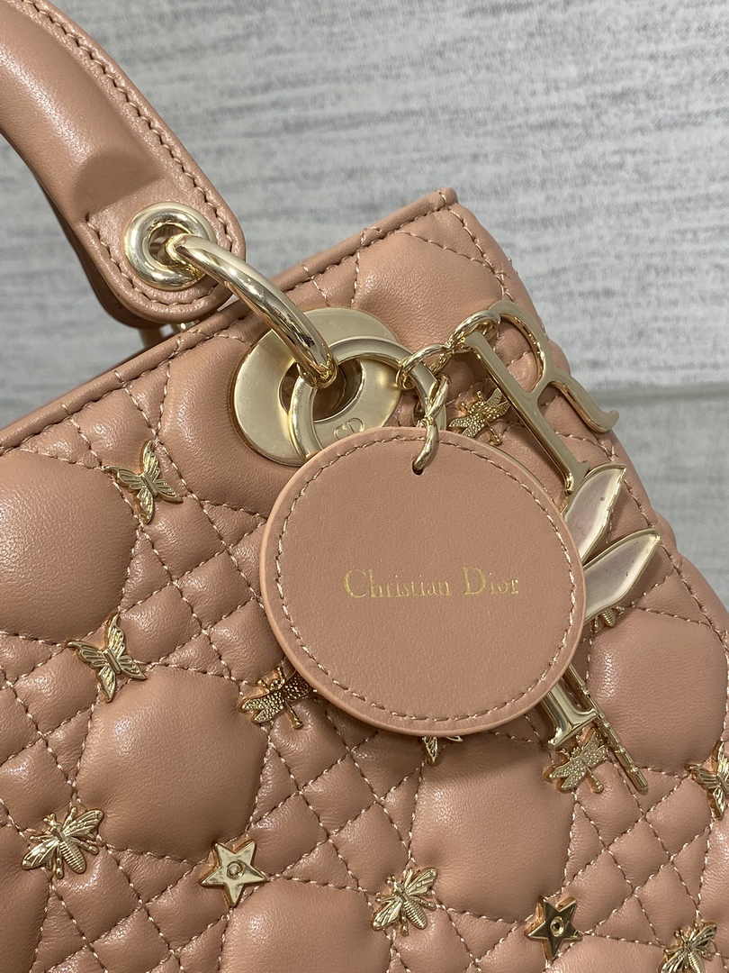 Small Lady Dior Bag Powder Pink Calfskin M0531 - Default Title - View 5