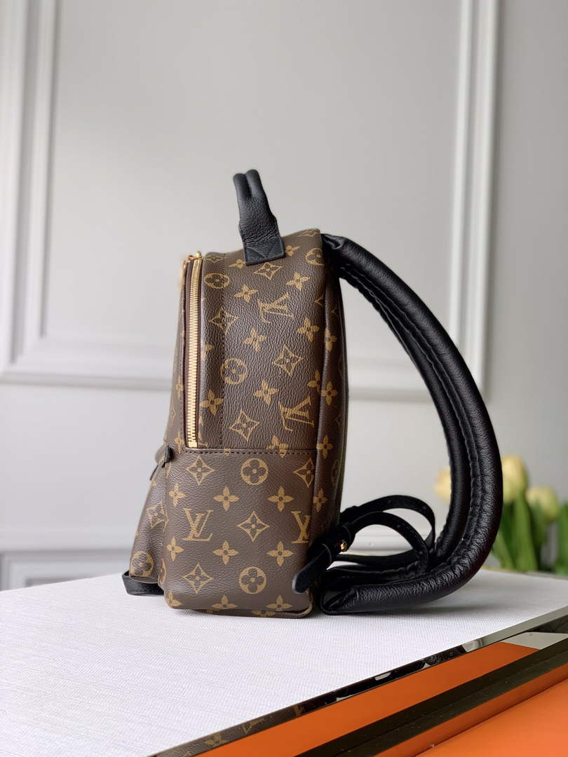 Louis Vuitton LV M44871 Palm Springs PM Monogram Canvas