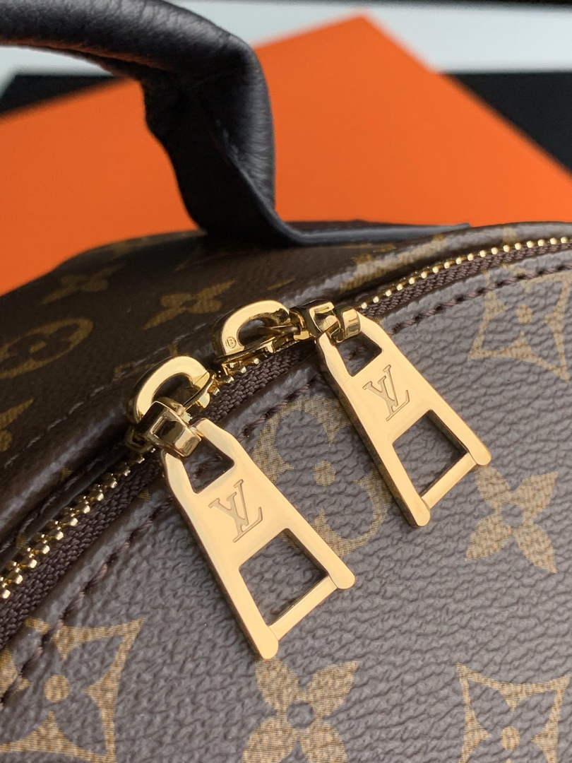 Louis Vuitton LV M44871 Palm Springs PM Monogram Canvas