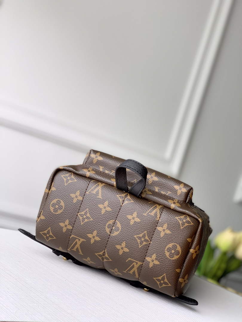 Louis Vuitton LV M44871 Palm Springs PM Monogram Canvas
